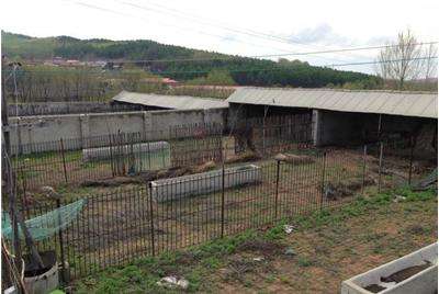 论排水沟对养殖场的重要性